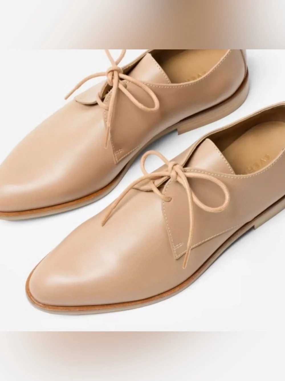 NIB [Everlane] The Modern Oxford Italian Leather Lace Up Shoes Blush Women’s 6.5 - Picture 2 of 15